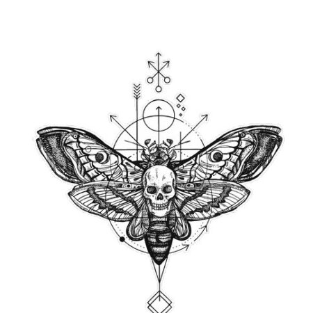 Graphic 85